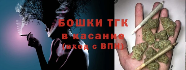 PSILOCYBIN Дмитриев