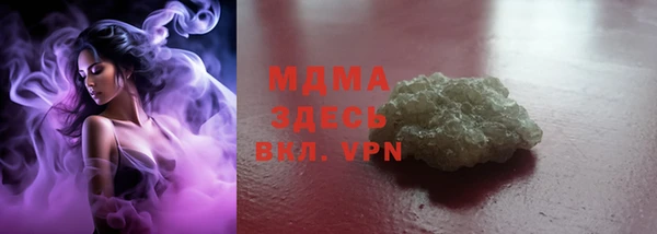 PSILOCYBIN Дмитриев