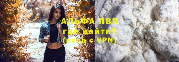 PSILOCYBIN Дмитриев