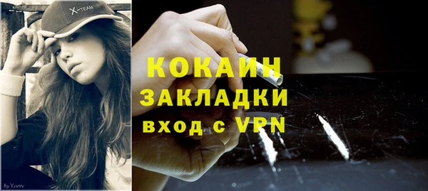 PSILOCYBIN Дмитриев