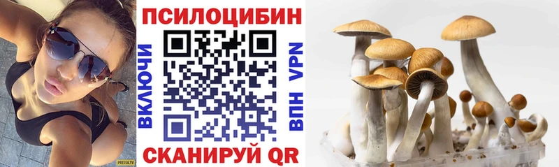 Купить где  Моздок  Псилоцибиновые грибы Cubensis 
