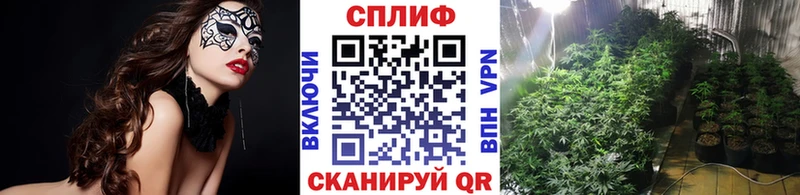 Марихуана планчик  Купить где  Моздок 